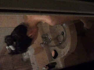 گربه بزرگ و مقوی دانلود فیلم سکسی از کانال تلگرام کورتنی کین را شیردوشی